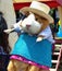 Guinea pig dressed in traditional clothes of Cuenca city, Cuenca