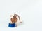 guinea pig eats its food from a blue bowl on a white background