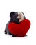 Guinea pig and heart