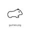 Guinea pig icon. Trendy modern flat linear vector Guinea pig icon on white background from thin line animals collection