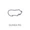 Guinea pig linear icon. Modern outline Guinea pig logo concept o