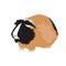 Guinea pig, pet. Isolated vector illustration