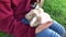 Guinea pig sits on child\'s laps.