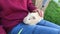 Guinea pig sits on child\'s laps.