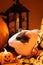 A guinea pig sits near a lantern and pumpkins. Pets and Halloween.