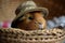 guinea pig wearing a tiny hat, sitting in a basket