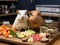 Guinea pigs in classroom with chalkboard