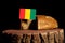 Guinean flag on a stump with bread