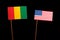 Guinean flag with USA flag on black