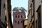 Guinigi Tower with oak tree garden on the rooftop in Lucca, Italy