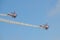 Guinot Wing Walking team