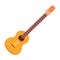 Guitar acoustic icon cartoon isolated