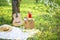 Guitar, basket, sandwiches, plaid and juice in a blossoming garden