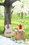 Guitar, basket, sandwiches, plaid and juice in a blossoming garden