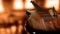 Guitar closeup on a beautiful beige background