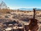 Guitar in the desert, Near Saddleback Mountain Park, Lancaster, California