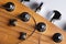 Guitar fretboard with tuning pegs and strings on a gray background. Close-up