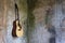 Guitar hanged on the wall in the broken house.