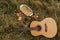 Guitar lying on an autumn green and yellow grass next to a cup of tea and a pie