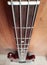Guitar neck. An enlarged image with the perspective of the strings and neck of a bass guitar.