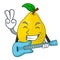 With guitar ripe yellow quince fruit on mascot