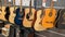 Guitar store many wooden Guitars classic in wall music shop showcase hanging for sale
