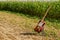 Guitar telecaster in red color against the background of a cornfield