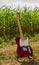 Guitar telecaster in red color against the background of a cornfield on a sunny day