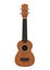 Guitar Ukelele Isolated