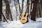 Guitar in a winter forest. white snow background