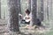 Guitarist in the woods at a picnic. A musician with an acoustic