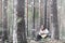 Guitarist in the woods at a picnic. A musician with an acoustic