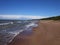 Gulf of Finland coast. Pine forest and beach on the North sea coast.