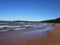 Gulf of Finland coast. Pine forest and beach on the North sea coast.