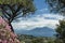 Gulf of Naples and Mount Vesuvius with flowers and plants on the foreground