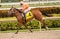 Gulfstream casino and horse racing Park in Miami, Florida - Sunday Racing