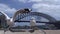 Gull arriving in slow motion with the harbour bridge at the background