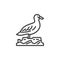 Gull bird line icon