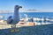 Gull bird on wall in Castel dell\\\'Ovo, Naples, Italy in Europe. Yellow-legged gull, Larus michahellis, in the yacht herbour port