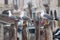 gull chioggia and sottomarina city in the venetian lagoon near venice famous for its fishing ports