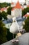 Gull close up portrait on Tallin city background