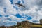 Gull flies above people by the ruins of the Medieval Tynemouth P