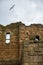 Gull flies above the ruins of the Medieval Tynemouth Priory and