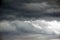 Gull flying through stormy sky