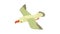 Gull icon animation