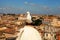 Gull on the outlook above historical center of Rome. Seagull stands over the roofs of Roma. Seagull watching Rome in summer. Bird