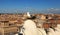 Gull on the outlook above historical center of Rome. Seagull stands over the roofs of Roma. Seagull watching Rome in summer. Bird