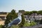 Gull on the outlook with Colosseum. Seagull watching Rome with Colosseum. Bird in the Roman Forum, the historic city center, Roma,