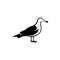 gull silhouette, albatross bird logo