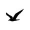 gull silhouette, albatross bird logo